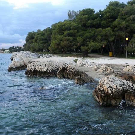 Wolverine Residence Ζαντάρ Εξωτερικό φωτογραφία